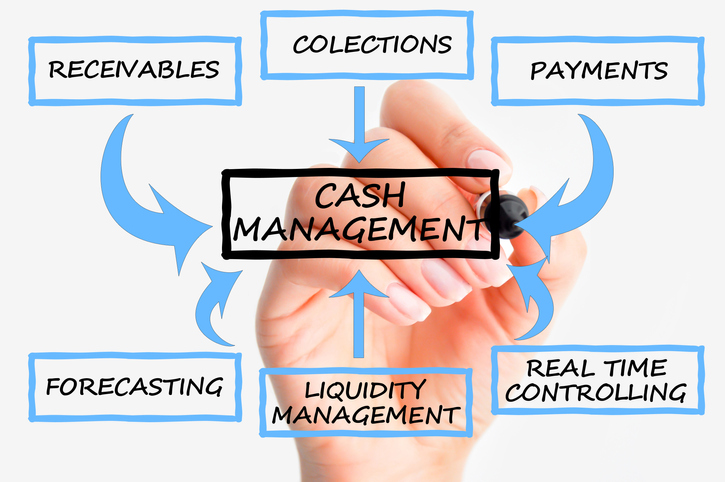 Cash flow management system